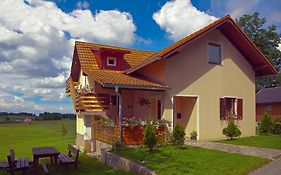 Apartment Ivan